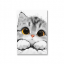 Symphony Sound AN-29