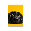 Symphony Sound AN-36