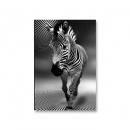 Symphony Sound AN-38