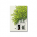 Symphony Sound AN-32